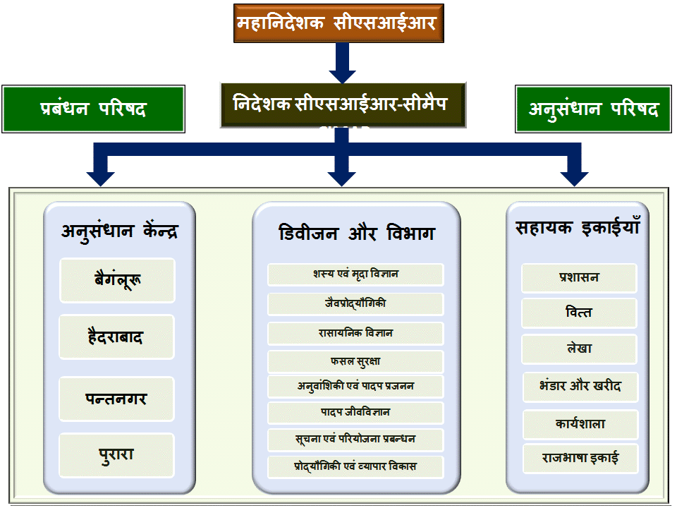 revisedorganisationalchart